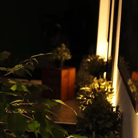 Appartement Delle Star *